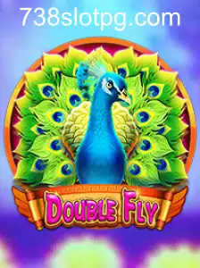 DoubleFly: Panduan Lengkap Permainan Baru yang Mendebarkan
